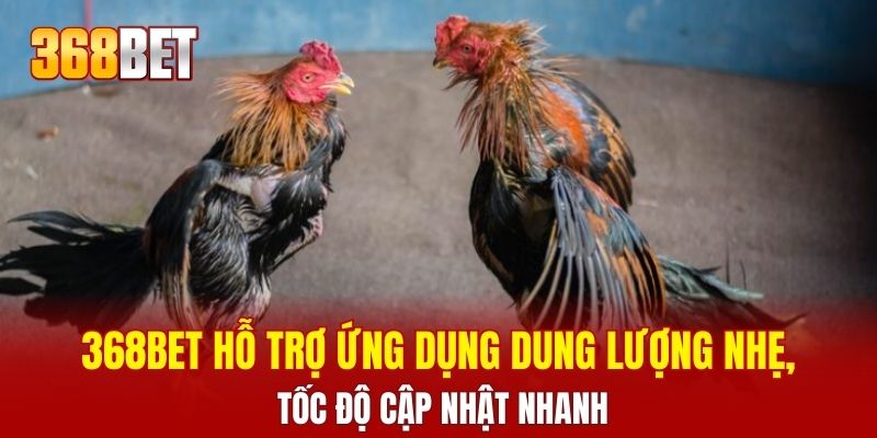 368BET hỗ trợ ứng dụng dung lượng nhẹ, tốc độ cập nhật nhanh