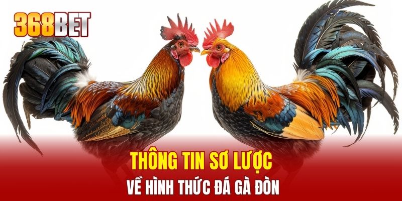 Thông tin sơ lược về hình thức đá gà đòn